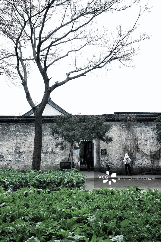 百草园·绍兴鲁迅故里图片素材