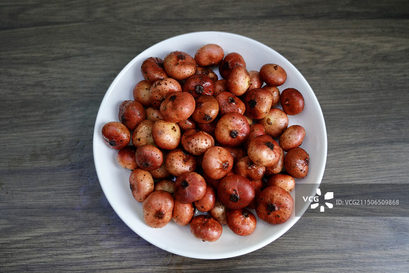 野地瓜 ，地果、地枇杷、满地青、地瓜藤、地胆紫、地石榴、过山龙图片素材