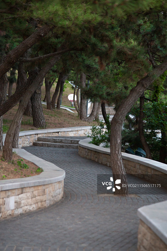 林荫小径图片素材