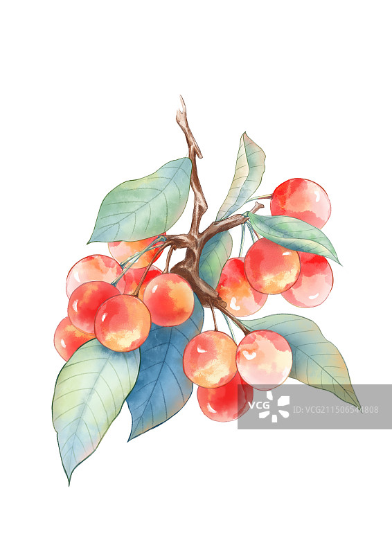 手绘水彩水果樱桃水彩插画图片素材