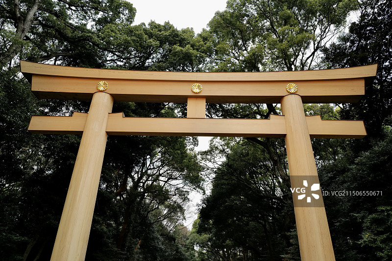 日本东京明治神宫入口处明治神宫第一鸟居图片素材