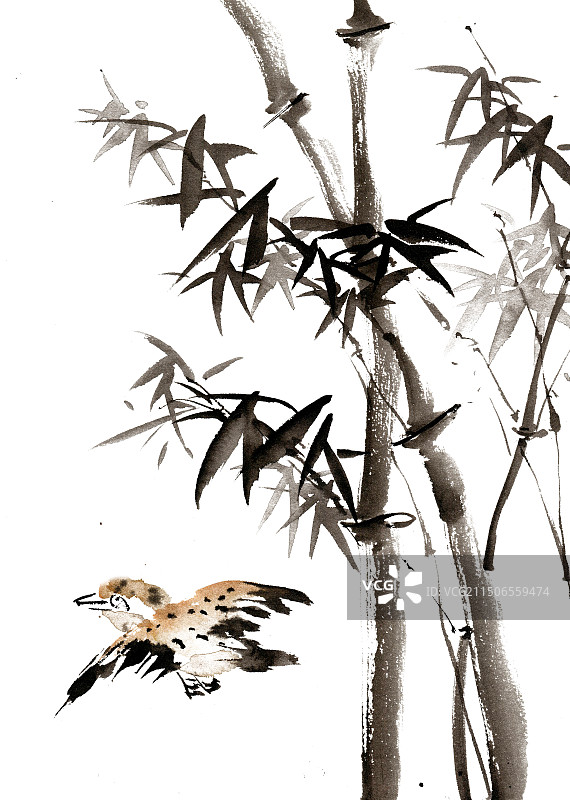 竹子下的麻雀图片素材