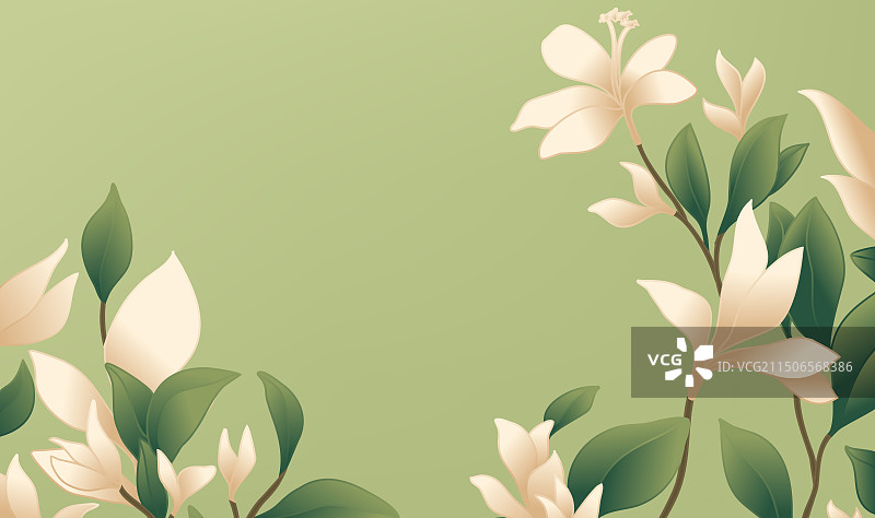 绿色背景花卉插图图片素材