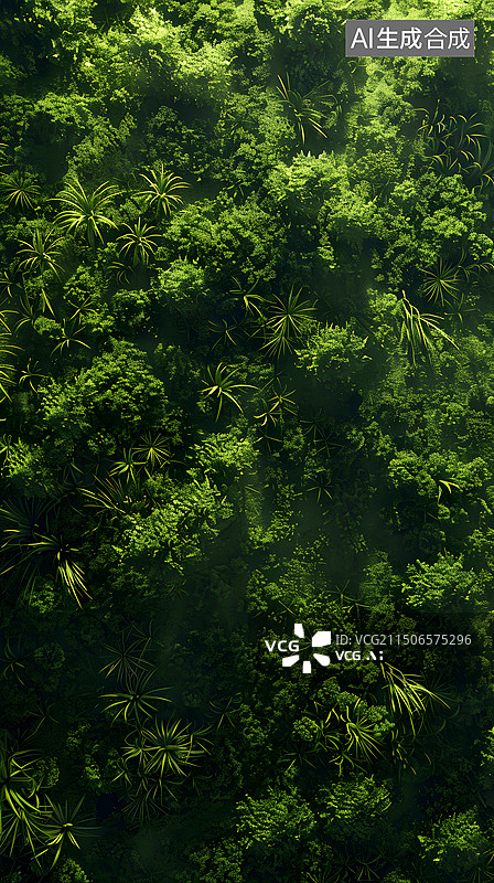 【AI数字艺术】航拍森林风景图片素材
