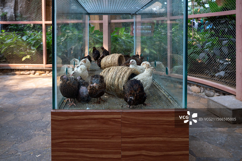 南宫旅游景区图片素材