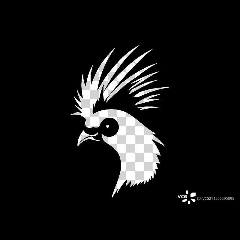 黑白鹦鹉隔离图标图片素材