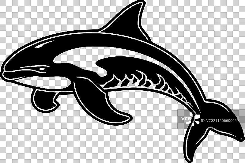 虎鲸扁平风简约logo图片素材