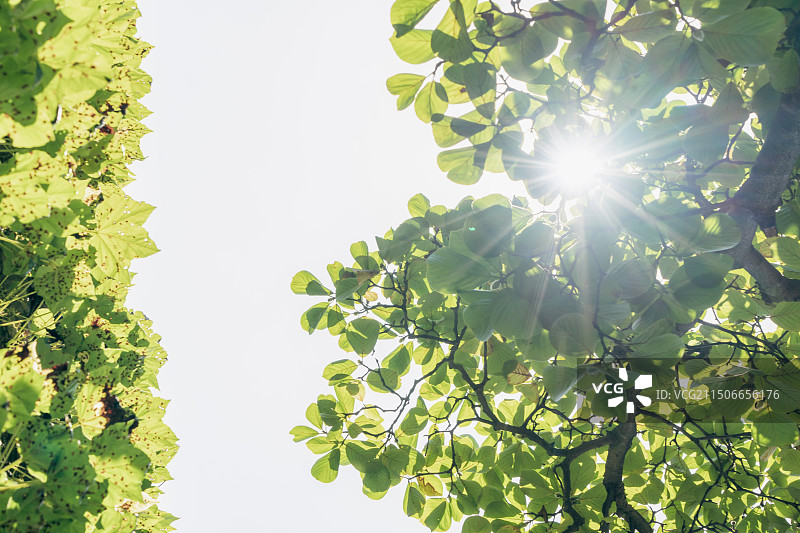 苏州园林图片素材