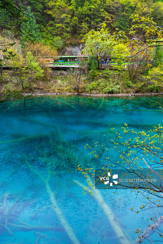四川省九寨沟5A风景区日则沟景点-孔雀河道雨天风景图片素材