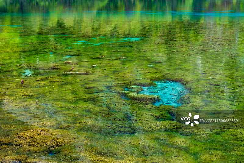 四川省九寨沟5A风景区五花海图片素材