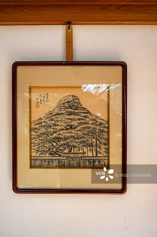 日本京都宝泉院五叶松山水画图片素材