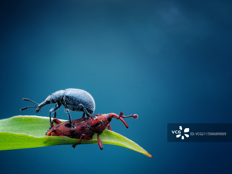 小伙伴图片素材