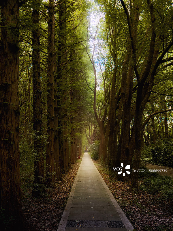 苏州同里湿地公园图片素材