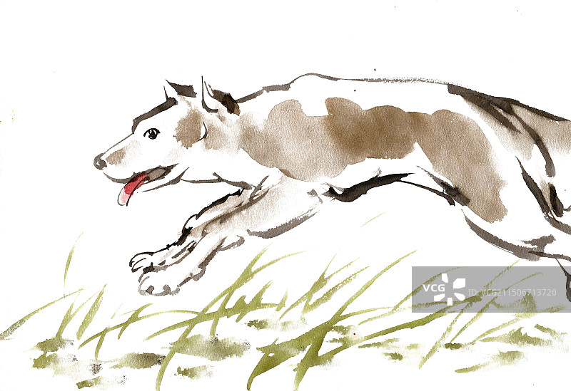 跳跃的狗图片素材