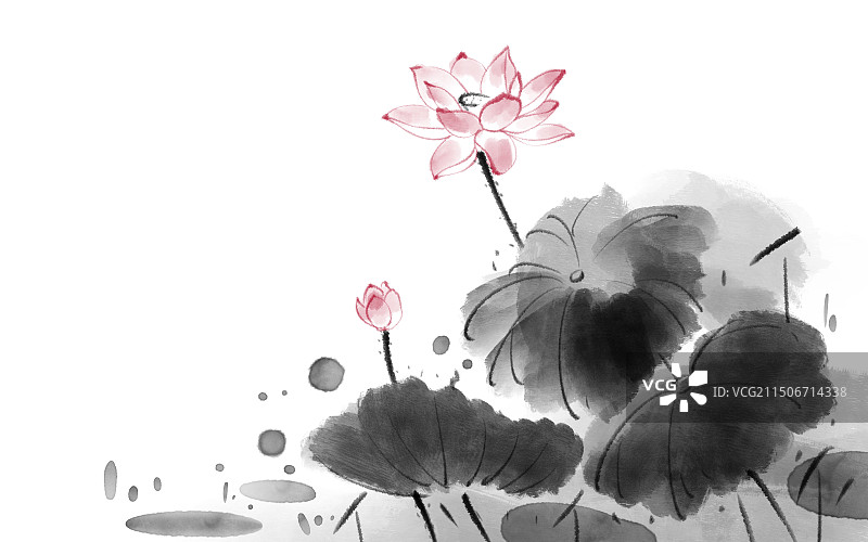 水墨荷花图片素材