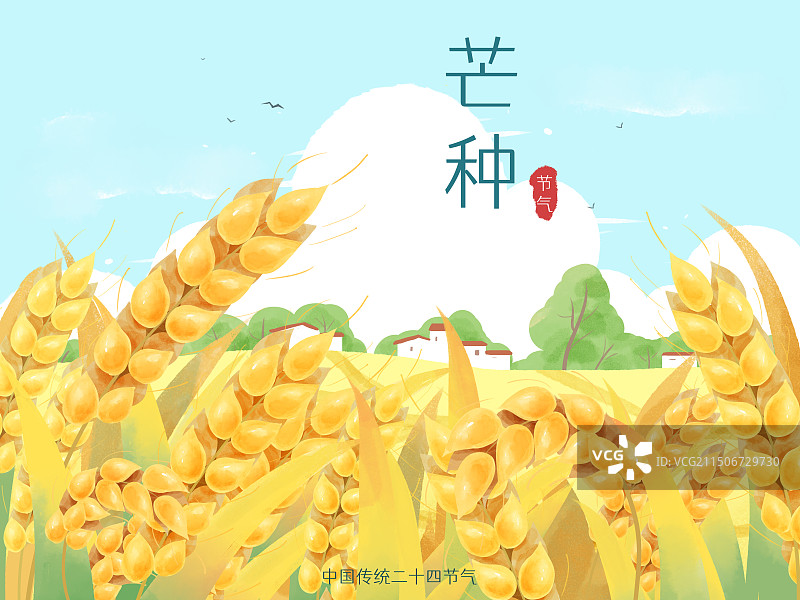 芒种海报二十四节气麦子村庄云图片素材