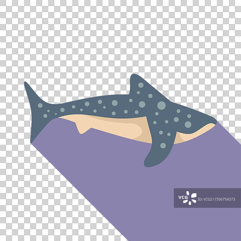 扁平风鲸鲨图片素材