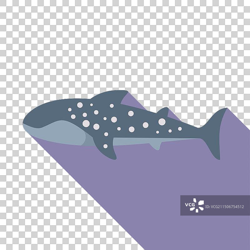 扁平风格鲸鲨设计图片素材