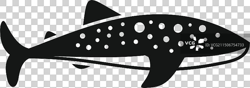 斑点鲨鱼轮廓图片素材