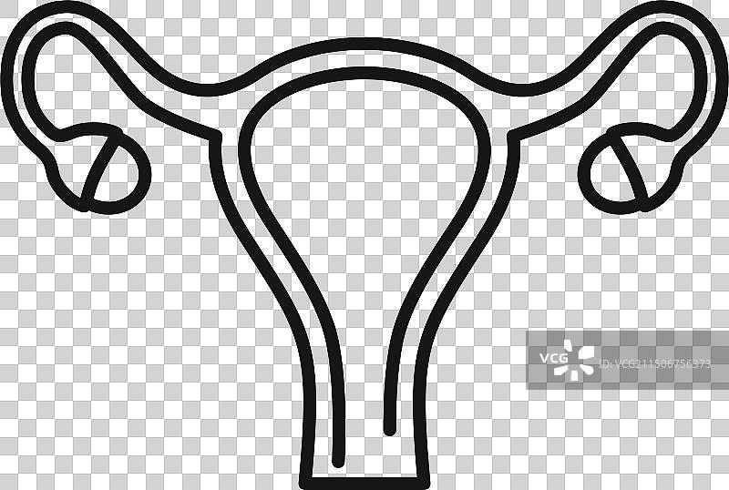 人类子宫线条艺术图标图片素材