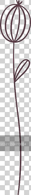 手绘银莲花图片素材