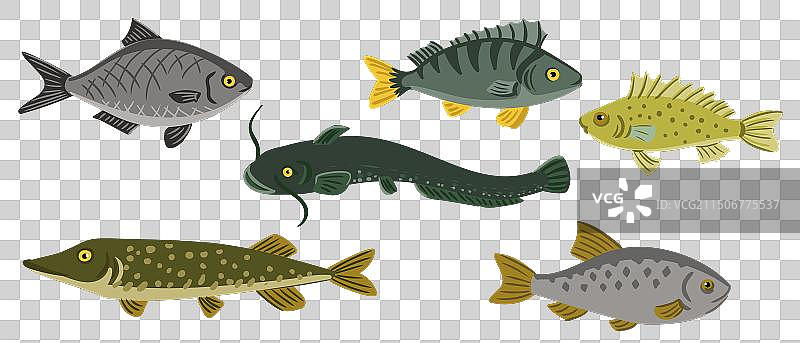 鱼类图案合集图片素材