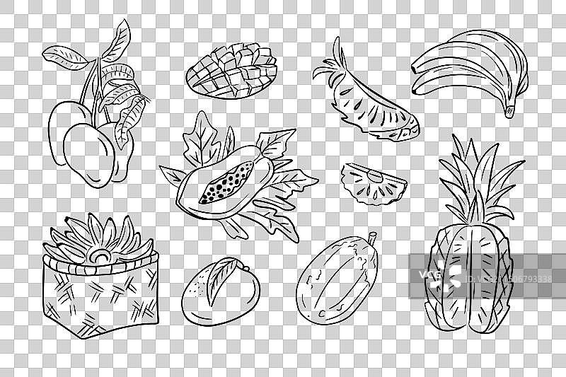 热带水果单色轮廓涂鸦图片素材