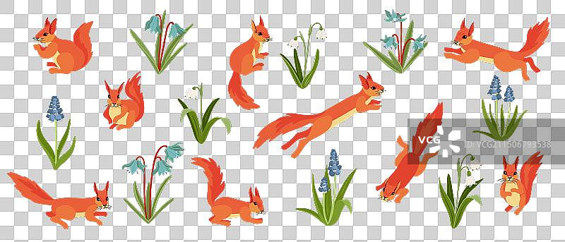 绘制动物松鼠和花朵图片素材