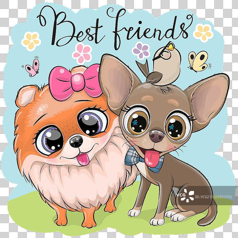 卡通博美犬和小奇瓦瓦犬，带有粉色蝴蝶结图片素材