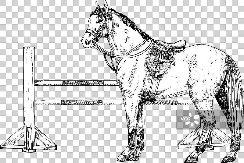 马和障碍物图案图片素材