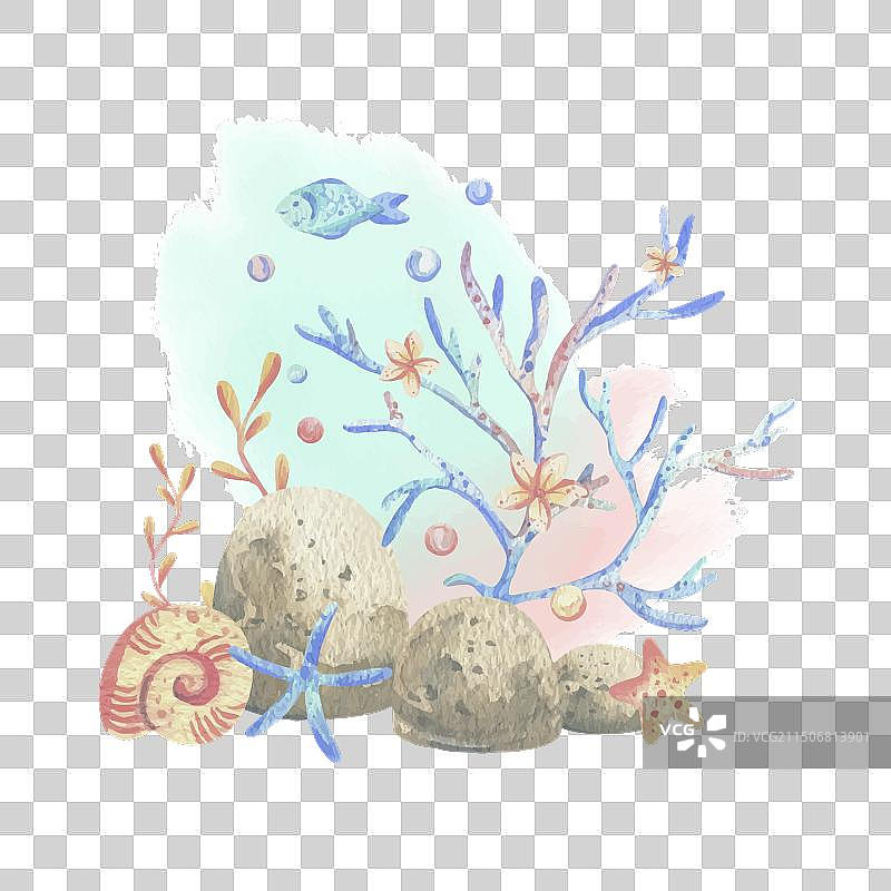 海珊瑚海藻贝壳海星鱼气泡图片素材