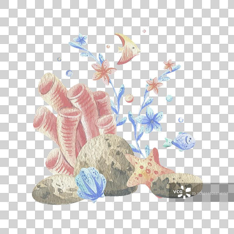 海珊瑚海藻贝壳海星鱼气泡图片素材