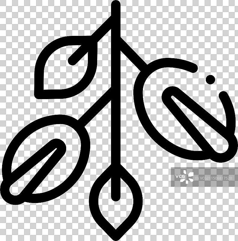 摩洛哥坚果图标线性设计图片素材