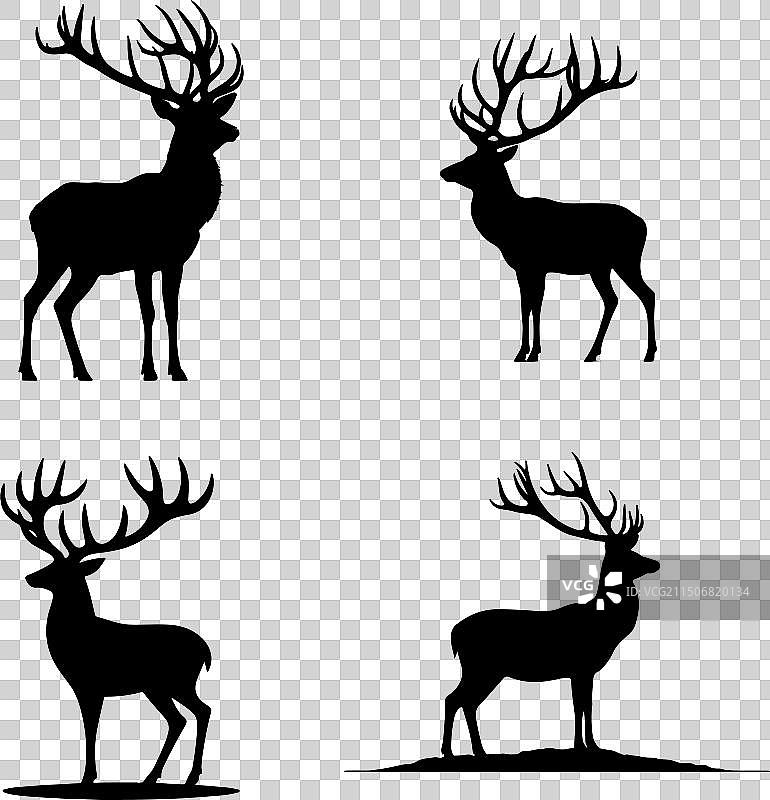 黑色鹿角鹿图片素材