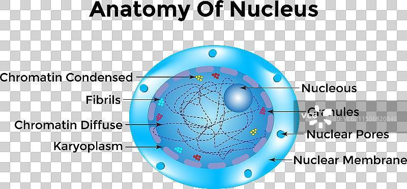 原子结构科学海报图片素材