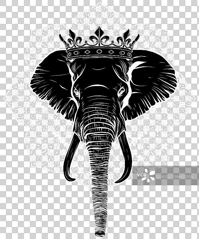 黑色背景上的白色线条大象头部图片素材