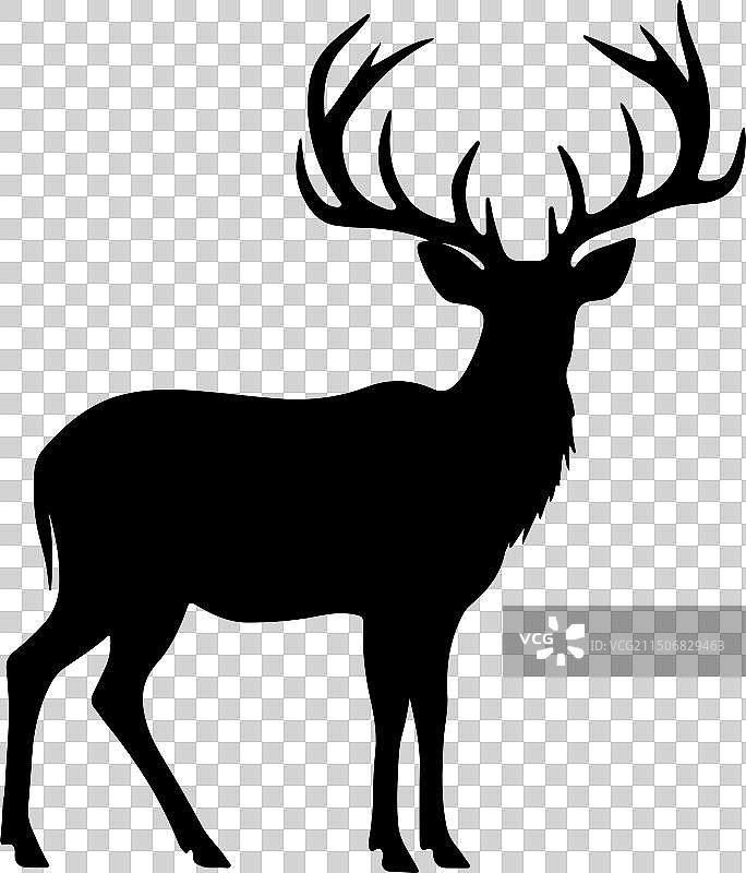 白色背景上的小鹿轮廓图片素材