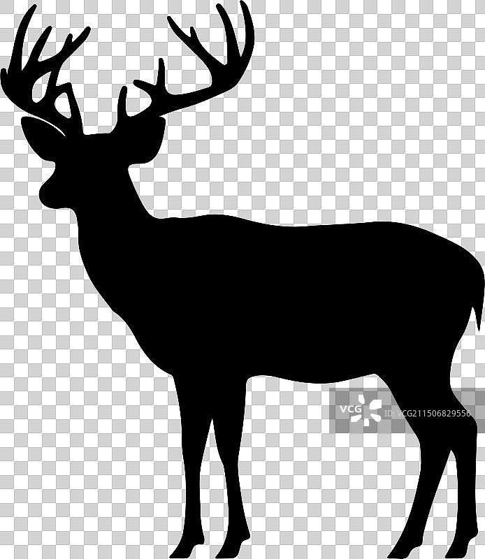 白色背景上的小鹿轮廓图片素材