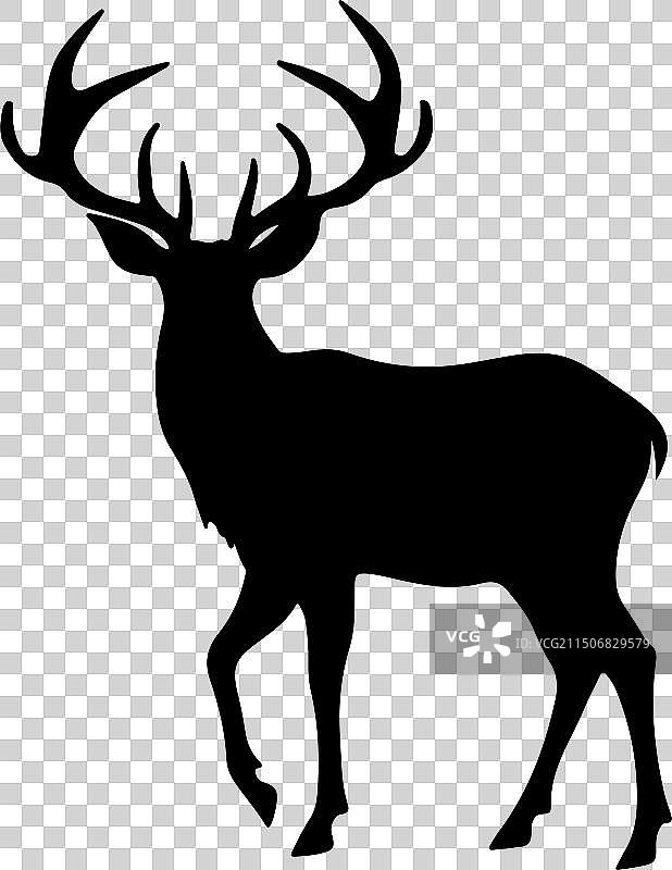 白色背景上的小鹿轮廓图片素材