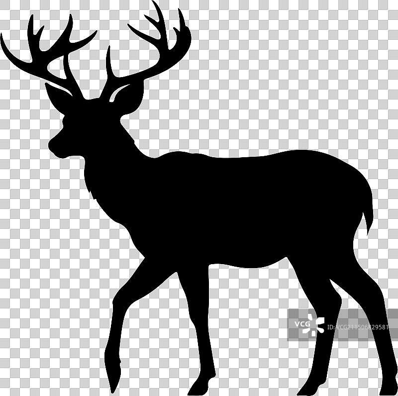 白色背景上的小鹿轮廓图片素材