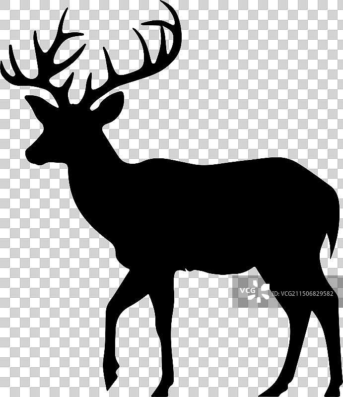 白色背景上的小鹿轮廓图片素材