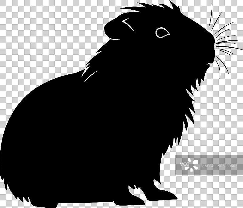白色背景下的豚鼠轮廓图片素材