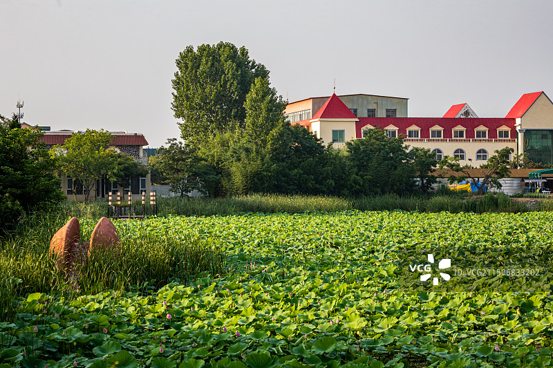 山东日照海滨国家森林公园景点景观图片素材