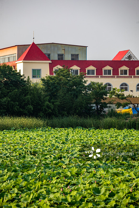 山东日照海滨国家森林公园景点景观图片素材