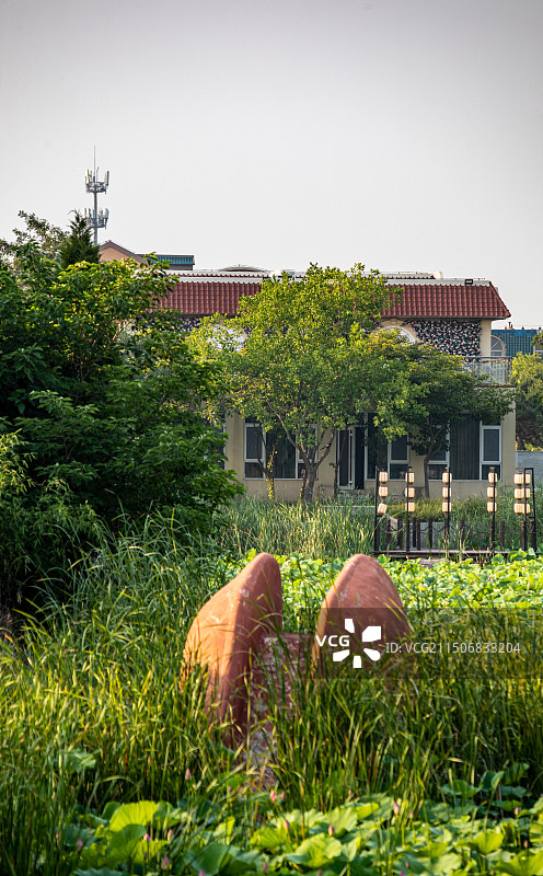 山东日照海滨国家森林公园景点景观图片素材