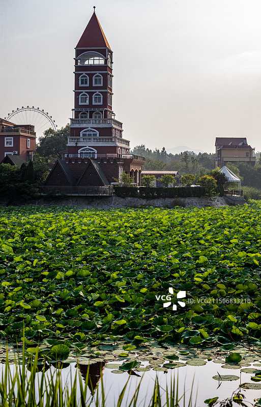 山东日照海滨国家森林公园景点景观图片素材