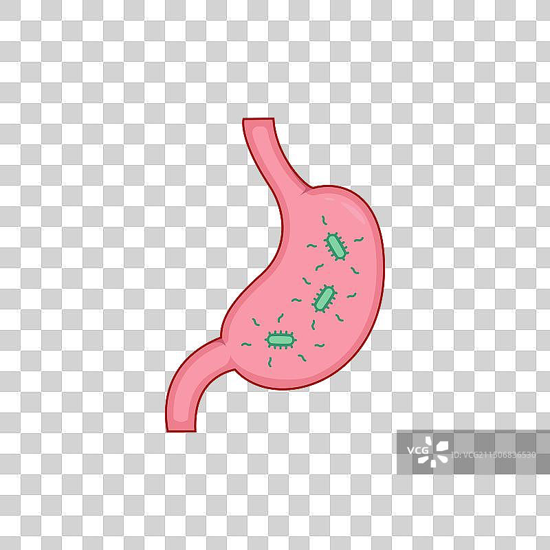 感染细菌的胃部图片素材