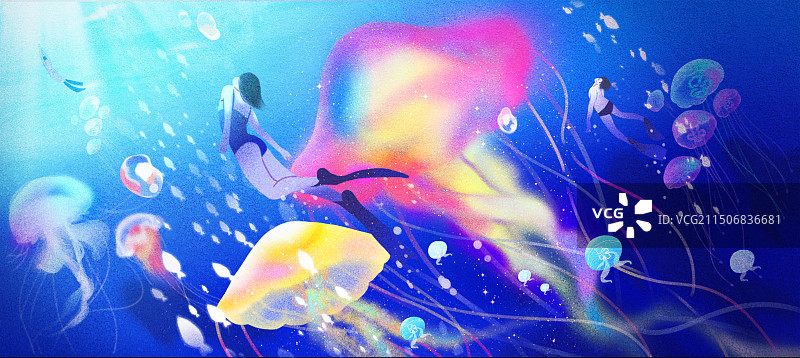 水母图片素材