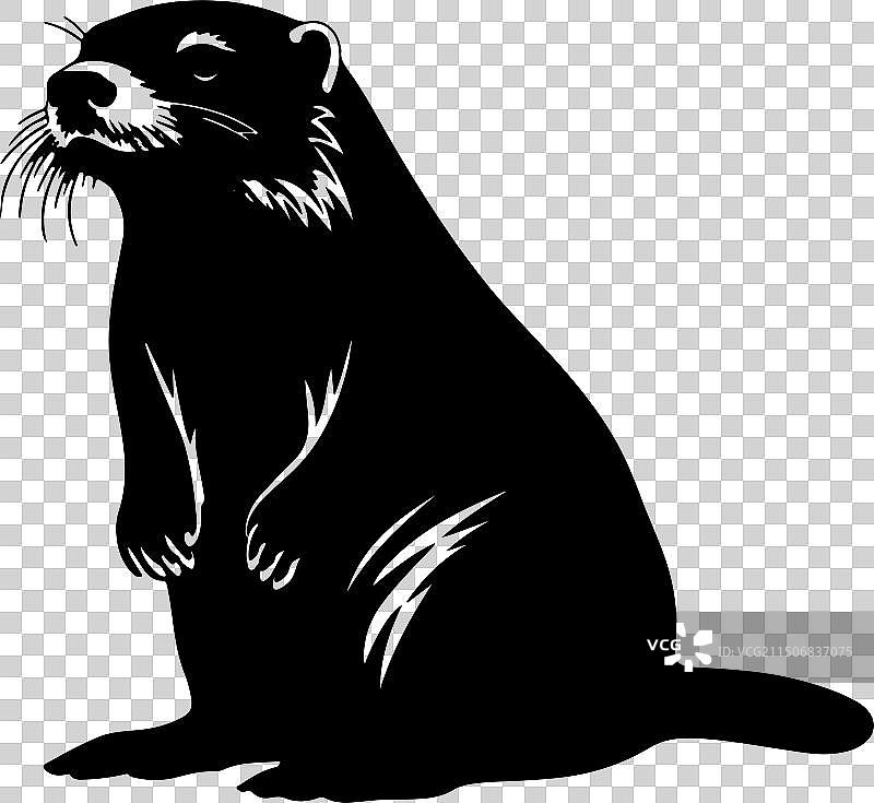 白色背景下的水獭剪影图片素材