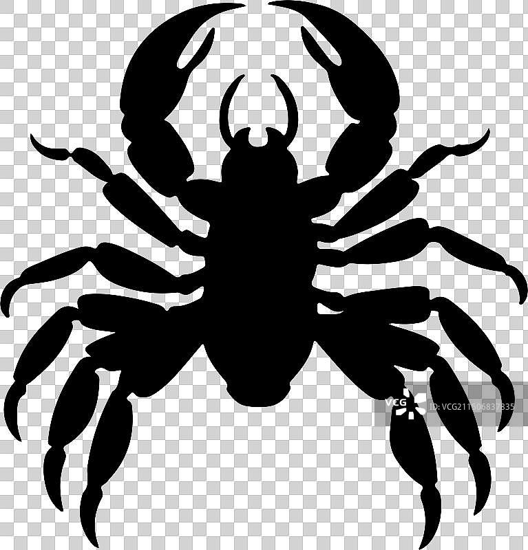 白色背景上的蝎子轮廓图片素材